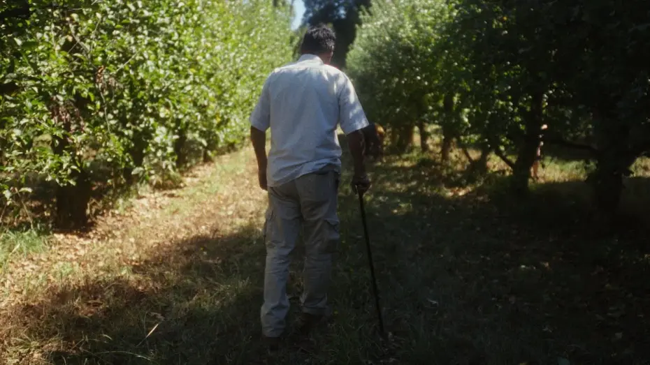 Відео до фільму Love in the Walls | Love in the Walls - Trailer