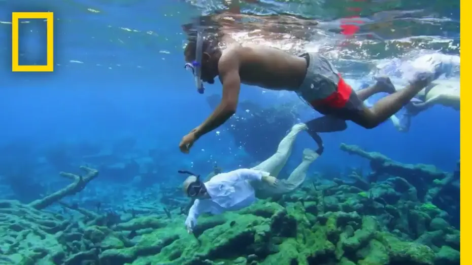 Відео до фільму Sea of Hope: America