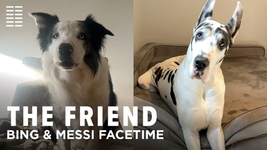 Відео до фільму The Friend | Bing & Messi FaceTime