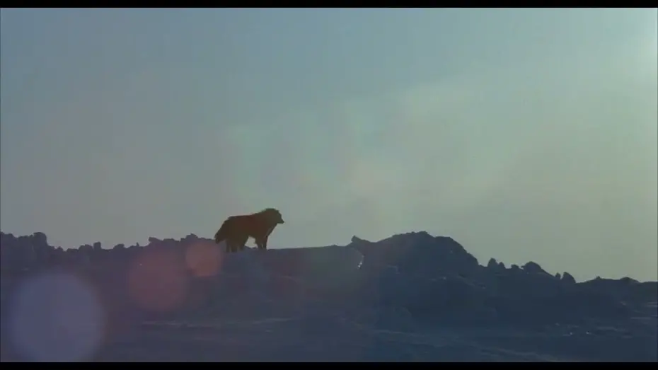 Відео до фільму Antarctica | Antarctica 1983 US theatrical trailer HD (restored)