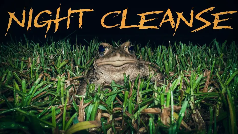 Відео до фільму Night Cleanse | Night Cleanse (2025) | A Short Film