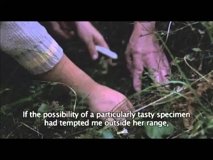 Відео до фільму The Vanquishing of the Witch Baba Yaga | The Vanquishing of the Witch Baba Yaga | Trailer | New Directors 2014