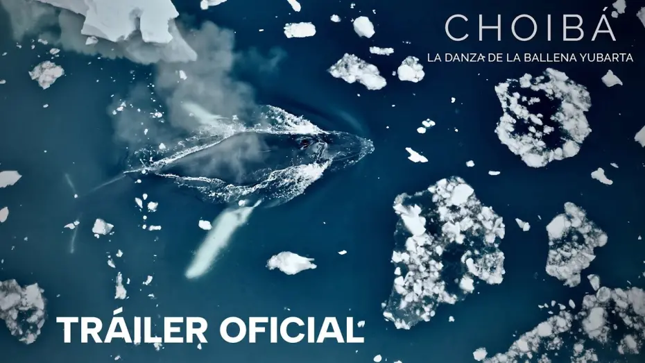 Відео до фільму Choibá: The Dance of the Humpback Whale | CHOIBÁ: LA DANZA DE LA BALLENA YUBARTA - Tráiler Oficial