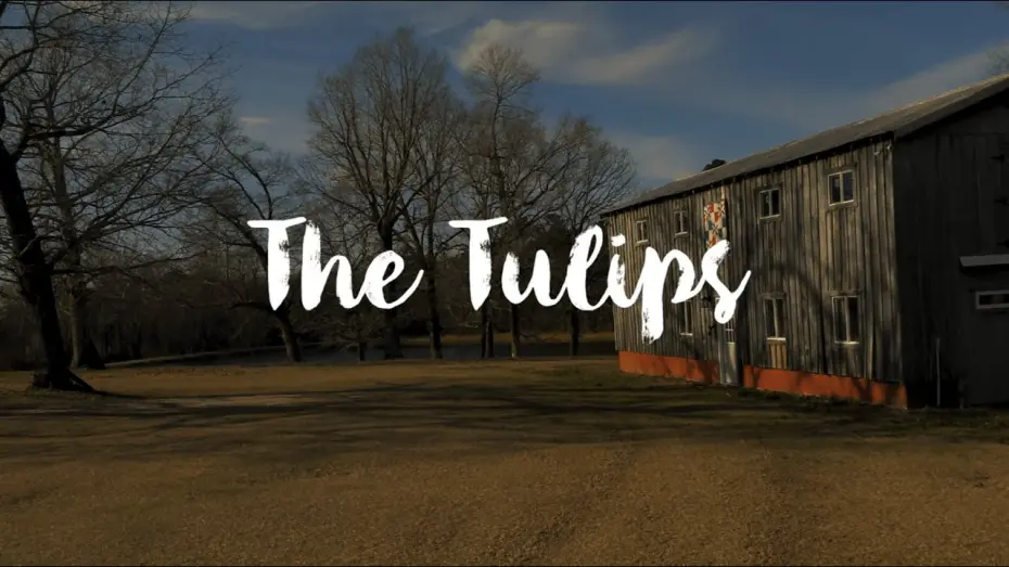 Відео до фільму The Tulips | "The Tulips": A Dark Southern Gothic Short Film