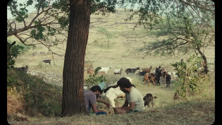 Відео до фільму Cactus Pears | IFFLA 2025 | CACTUS PEARS (Feature) | Clip