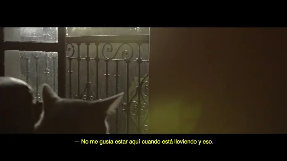 Відео до фільму Cuando Está Lloviendo y Eso | 