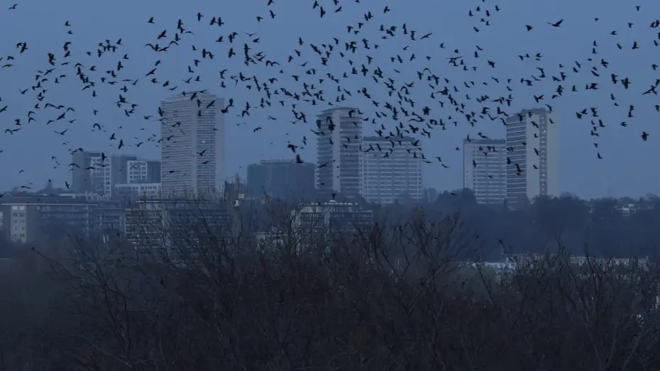 Переглянути трейлер фільму