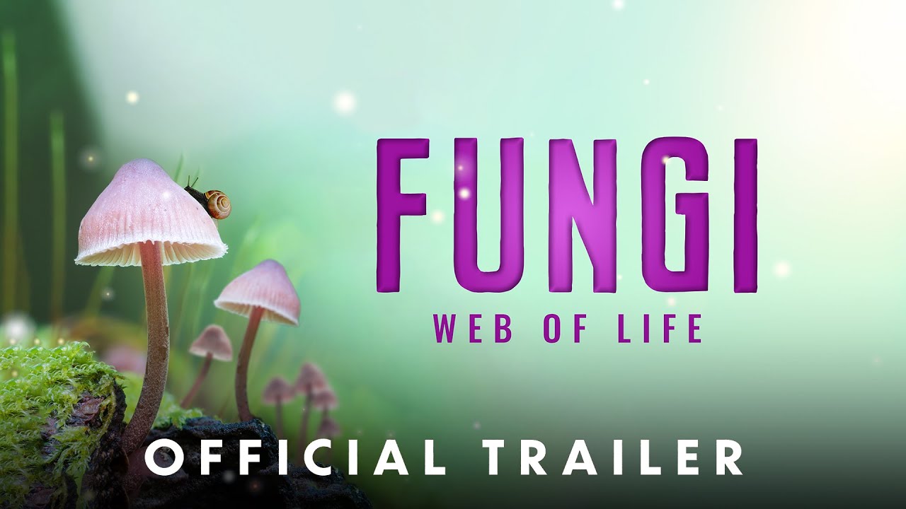 Відео до фільму Fungi: The Web of Life | Official Theatrical Trailer