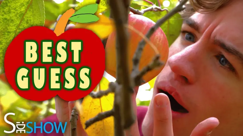 Відео до фільму Best Guess | Best Guess