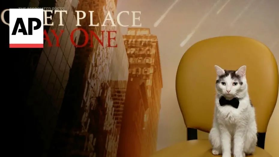 Відео до фільму Тихе місце: День перший | Meet the REAL star of 