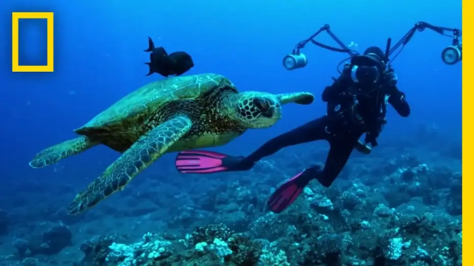 Відео до фільму Sea of Hope: America