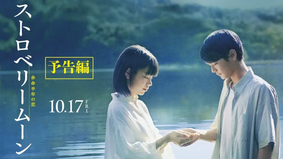 Відео до фільму Strawberry Moon | 映画『ストロベリームーン 余命半年の恋』予告編【2025年10月17日(金)公開】