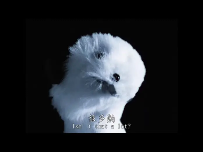 Відео до фільму Somewhere Only We Know | 2025第47屆金穗影展入圍影片｜在我們的日曆 Somewhere Only We Know