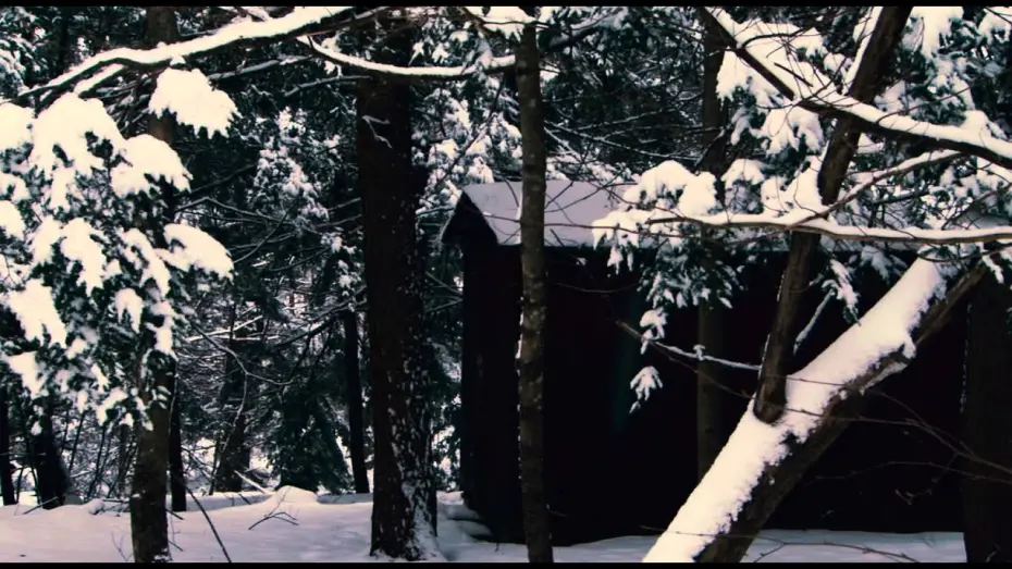 Відео до фільму Salinger | Trailer