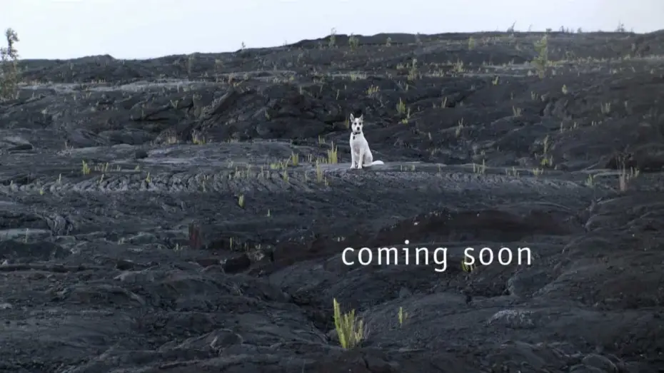 Відео до фільму The End of Time | Official Theatrical Trailer