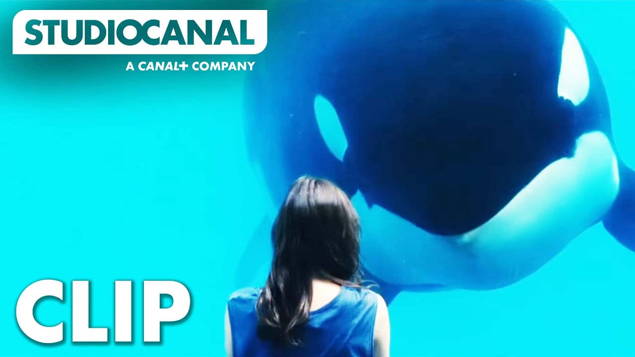 Відео до фільму Іржа і кістка | Rust & Bone | Meeting A Whale | Starring Marion Cotillard