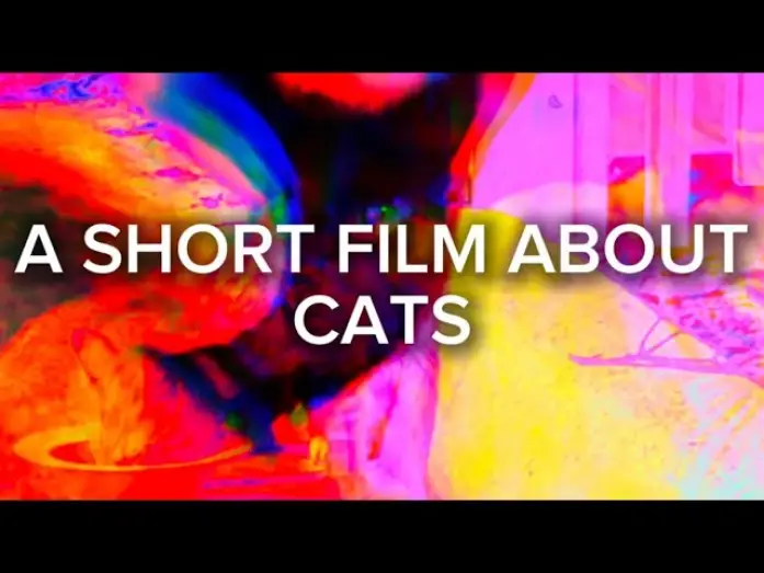 Відео до фільму A Short Film About Cats | A Short Film About Cats