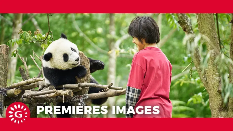 Відео до фільму Moon The Panda | MOON LE PANDA - Premières images [Le 9 avril au cinéma ]