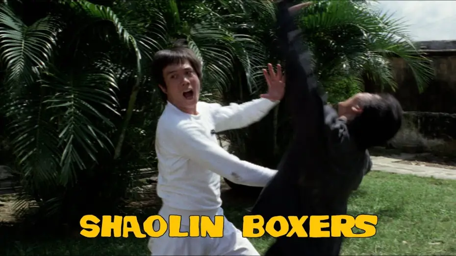Відео до фільму The Shaolin Boxers | Fight Scene