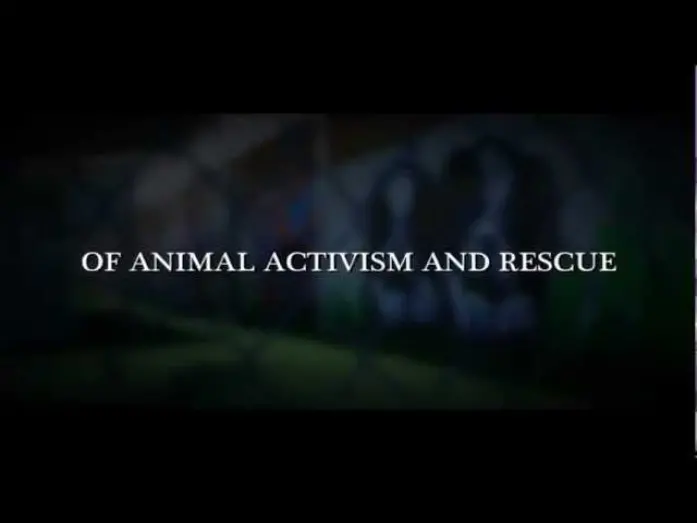 Відео до фільму Give Me Shelter | "Give Me Shelter" Theatrical Trailer - Produced by Katie Cleary
