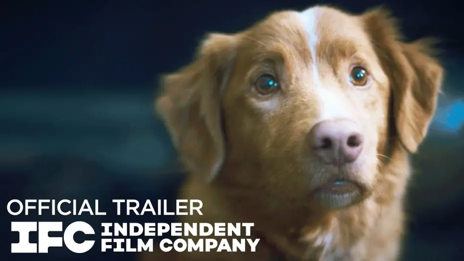 Відео до фільму Good Boy | Official Trailer
