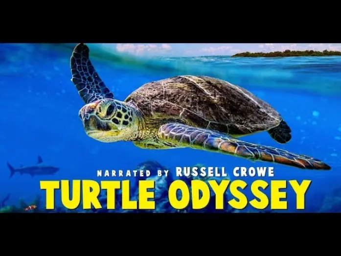 Відео до фільму Turtle Odyssey | Turtle Odyssey - Official Trailer
