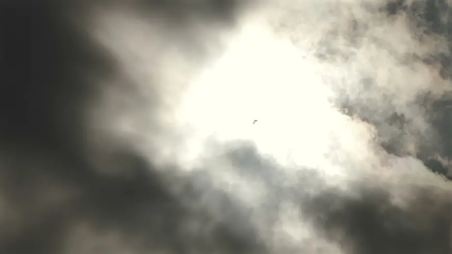 Відео до фільму Forget the Ocean, When We Look at the Ocean | 망양중복 Forget The Ocean, When We Look At The Ocean | 한국경쟁 Korean Competition | 17TH DMZ Docs Trailer