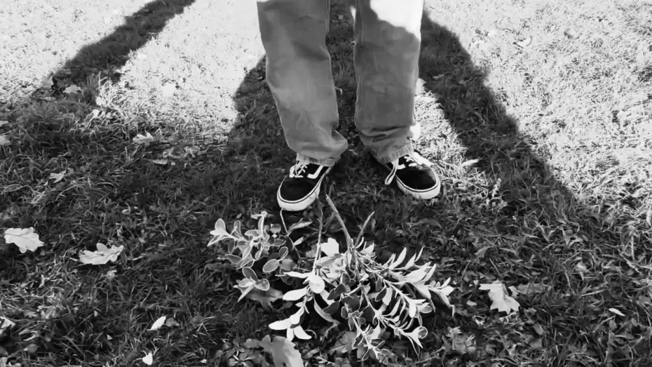 Відео до фільму The Trick | the trick trailer