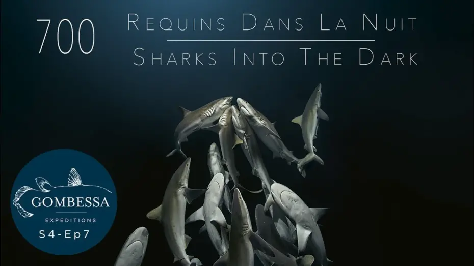 Відео до фільму 700 Sharks | Gombessa 4 - 700 requins dans la nuit - Ep07