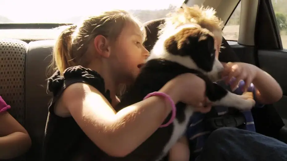 Відео до фільму Paycheck to Paycheck: The Life & Times of Katrina Gilbert | HBO Paycheck Trailer