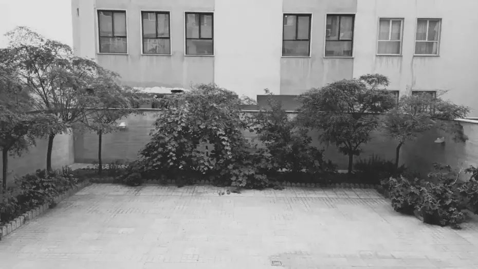 Відео до фільму In Praise of Loneliness | In Praise of Loneliness (در ستایش تنهایی)