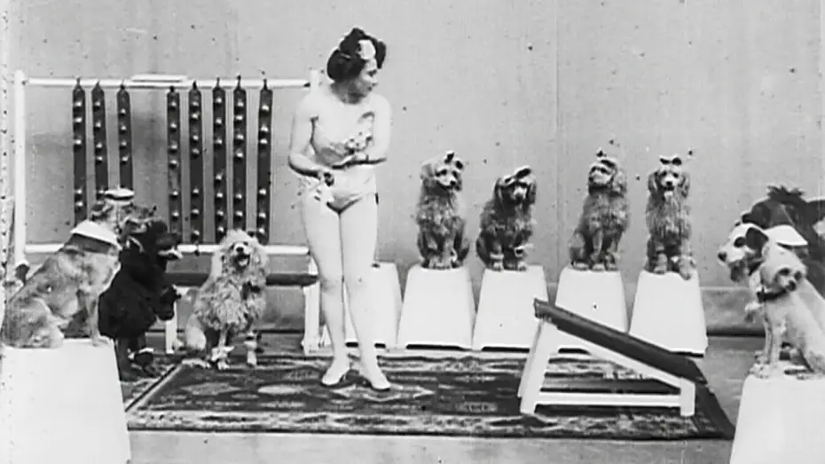 Відео до фільму Miss Dundee and Her Performing Dogs | Miss Dundee and her Performing Dogs (1902)
