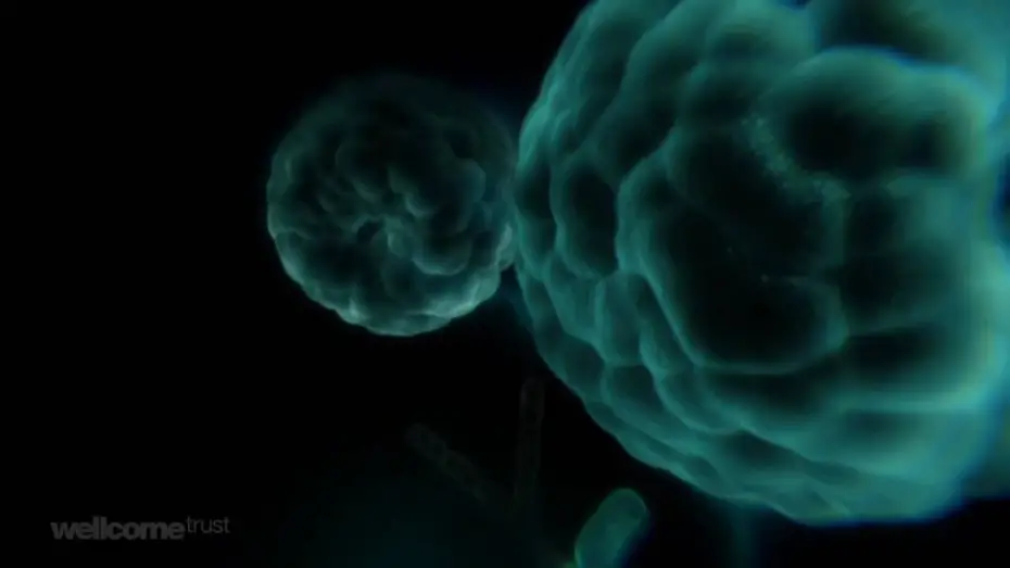 Відео до фільму Charles Darwin and the Tree of Life | Charles Darwin And The Tree Of Life - Sir David Attenborough