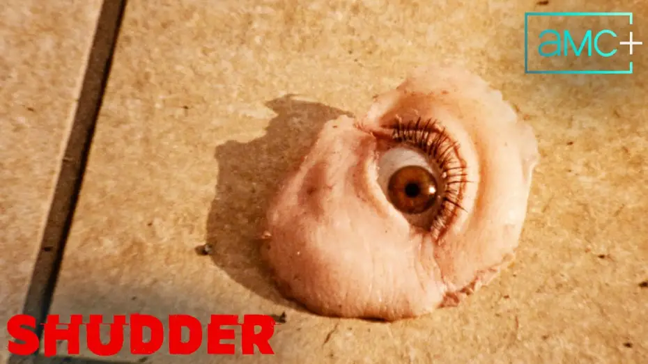 Відео до фільму Reflection in a Dead Diamond | Official Trailer