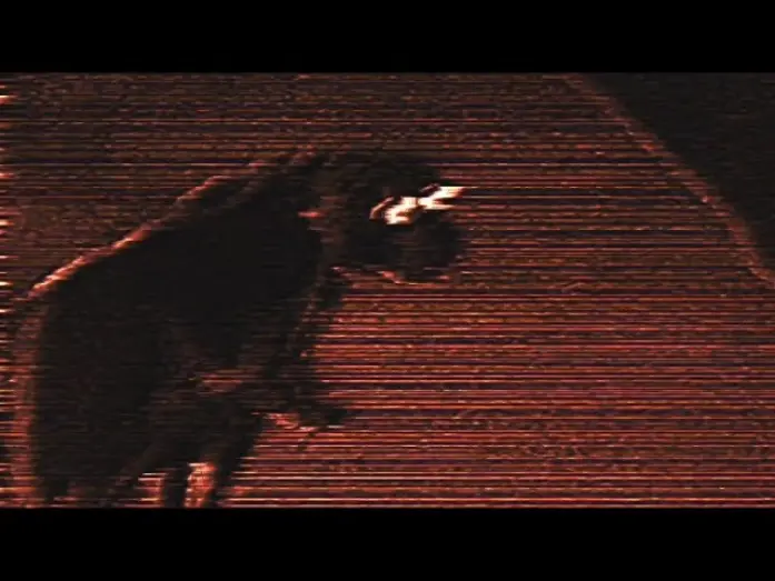 Відео до фільму тревожное гуляние с собакой 3:42-3:45 | тревожное гуляние с собакой 3:42-3:45