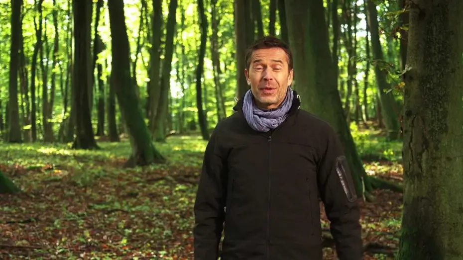 Відео до фільму The Hike Through the Ancient Beech Forests - UNESCO World Heritage since 2011 | Die Wanderung der Alten Buchenw&auml;lder - UNESCO Welterbe seit 2011 - pr&auml;sentiert von Dirk Steffens