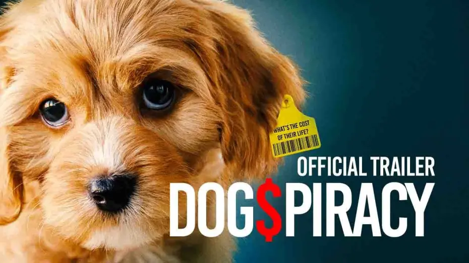 Відео до фільму Dogspiracy | Trailer