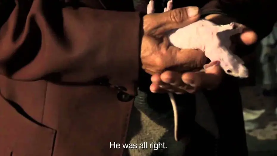 Відео до фільму Between Night and Day | Entre la noche y el d&iacute;a / Trailer