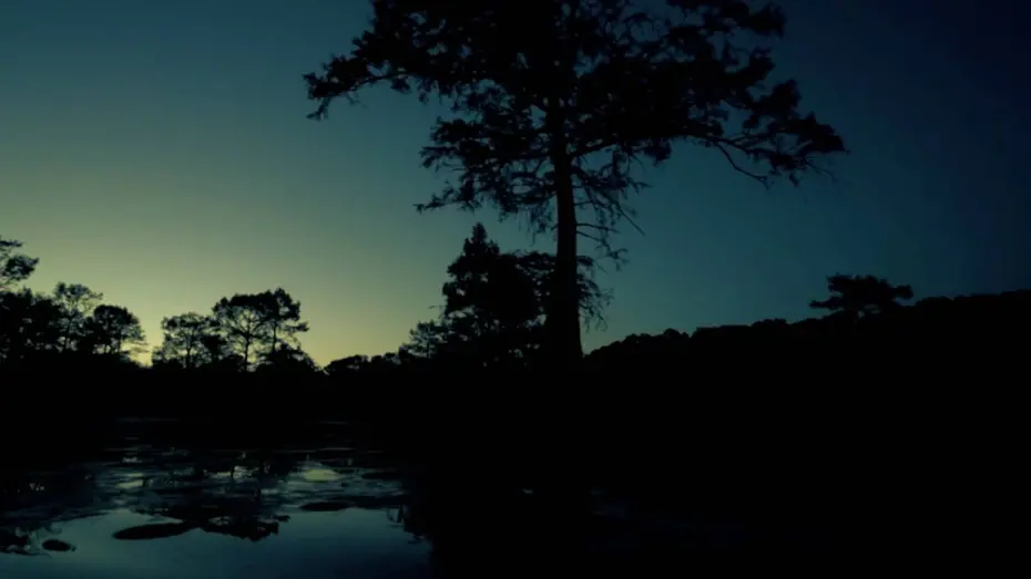 Відео до фільму Boggy Creek Monster | Boggy Creek Monster: The Truth Behind the Legend (2016) Teaser Trailer