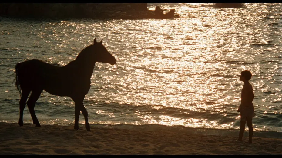 Відео до фільму The Black Stallion | Caleb Deschanel on Filming THE BLACK STALLION