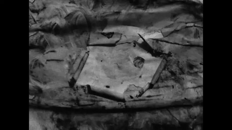 Відео до фільму Daily Routines | Daily routines