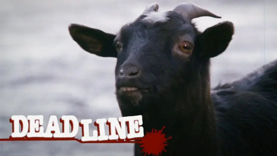 Відео до фільму Deadline | Deadline Clip - Black goat