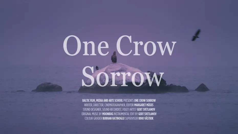 Відео до фільму One Crow Sorrow | Varesele valu / One Crow Sorrow (trailer)
