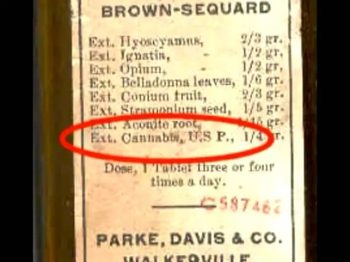 Відео до фільму La vera storia della marijuana | "The True History of Marijuana" - TRAILER