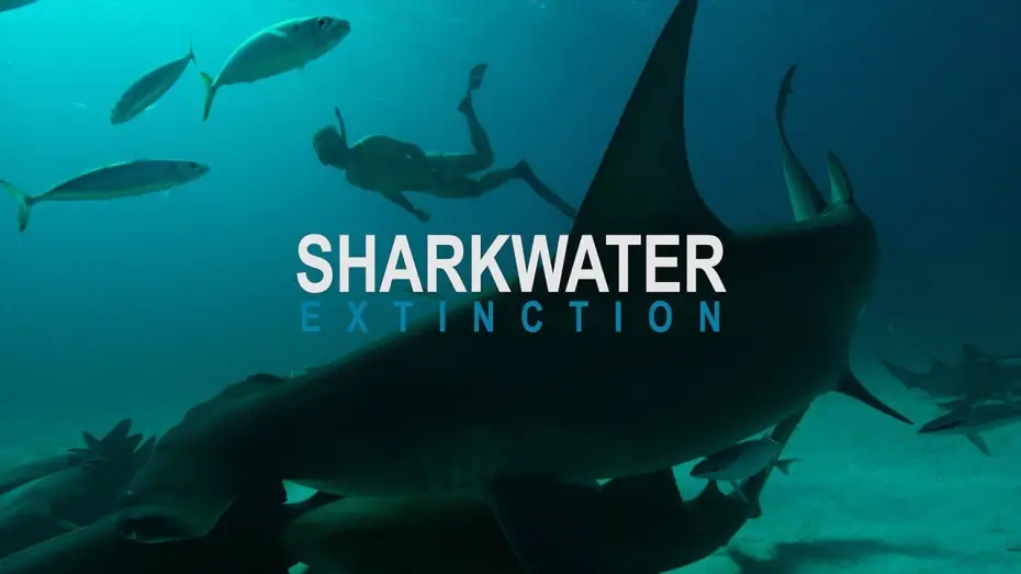 Відео до фільму Sharkwater Extinction | Sharkwater: Extinction – Video Teaser