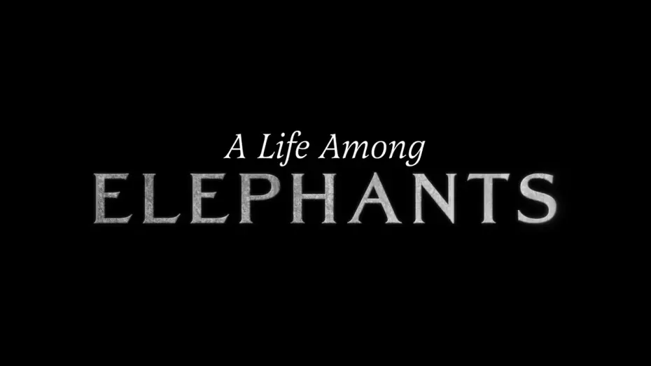 Відео до фільму A Life Among Elephants | A Life Among Elephants - TRAIL 2024