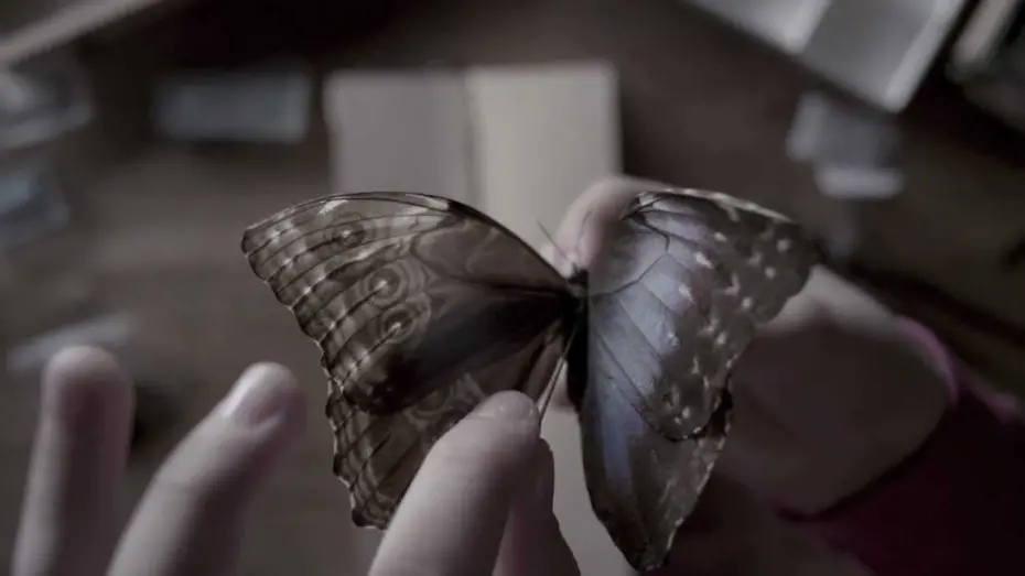 Відео до фільму Кімната метеликів | The Butterfly Room - Teaser
