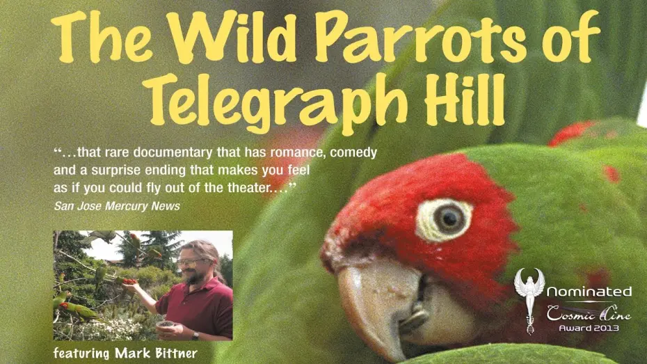 Відео до фільму The Wild Parrots of Telegraph Hill | THE WILD PARROTS OF TELEGRAPH HILL - Trailer Deutsch - Nominiert Cosmic Angel 2013