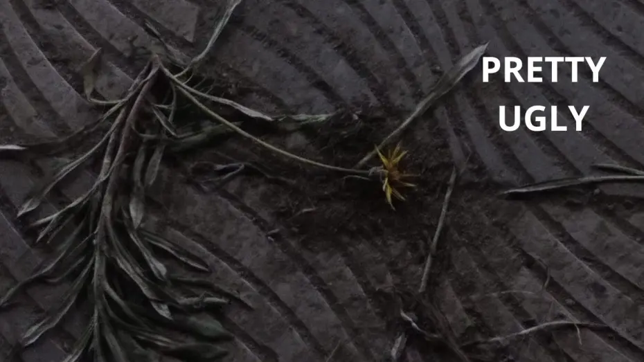 Відео до фільму Pretty Ugly | Pretty Ugly by Omar Mohamed (experimental short film)