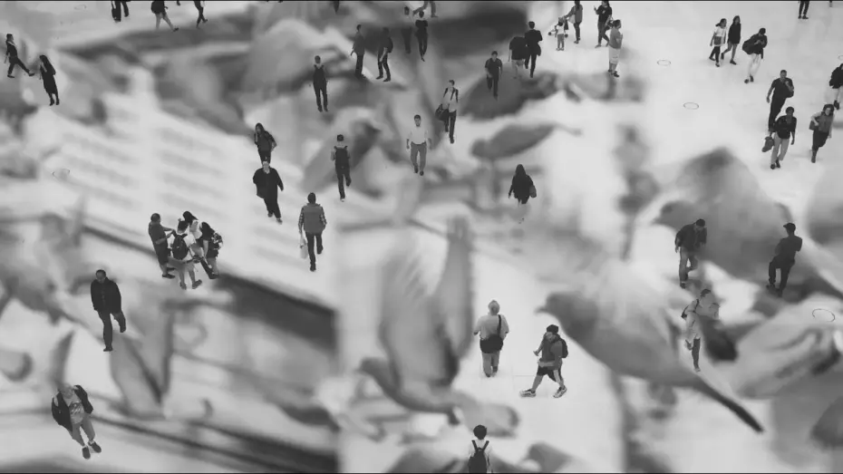 Відео до фільму Sonder | sonder